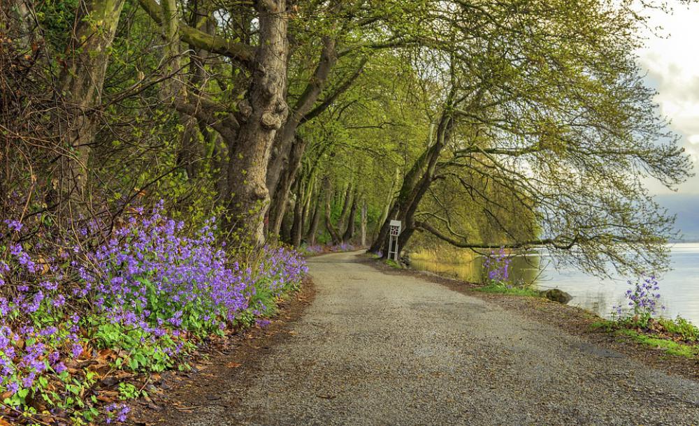 Lake Spring Nature Landscape Water Relaxation Lake Spring Nature Landscape Water Relaxation