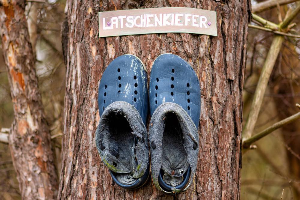Pine Shoes Leather Old Tree Pair Mountain Pine Pine Shoes Leather Old Tree Pair Mountain Pine