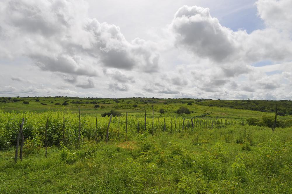 Sky Cloud Landscape Clouds Day Future Natural Sky Cloud Landscape Clouds Day Future Natural