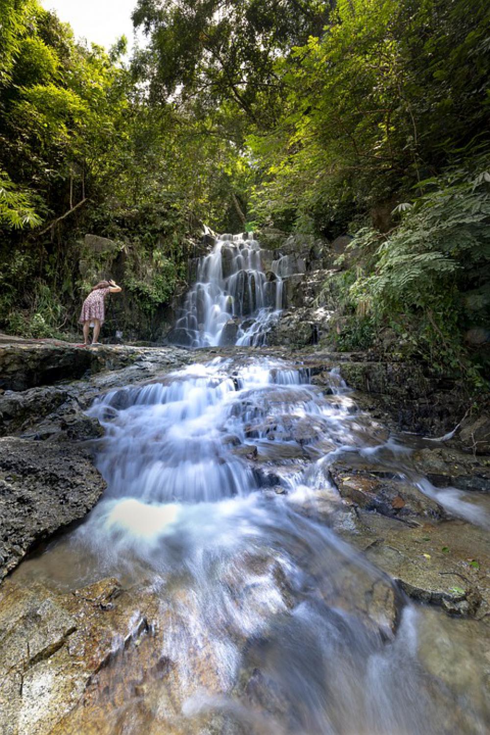 Tropical Jungle The Waterfall Vietnam Natural Tropical Jungle The Waterfall Vietnam Natural
