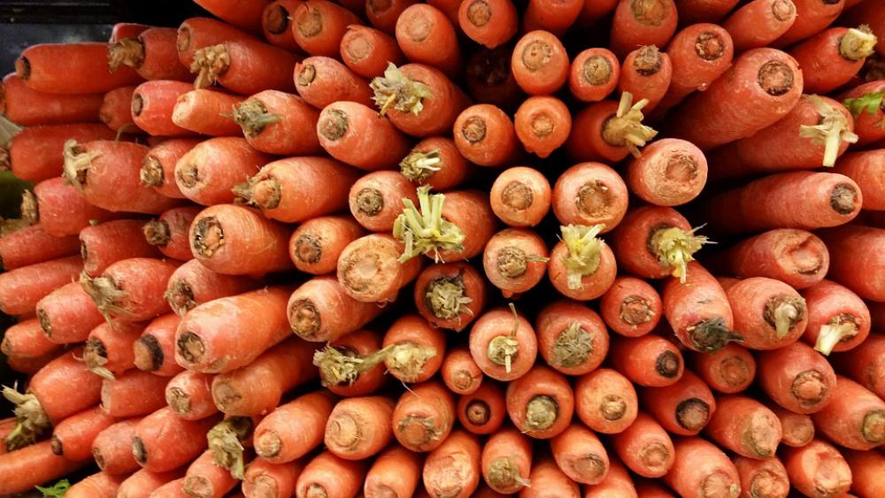 Vegetables Carrot Eat Healthy Vitamins Eat Healthy Vegetables Carrot Eat Healthy Vitamins Eat Healthy
