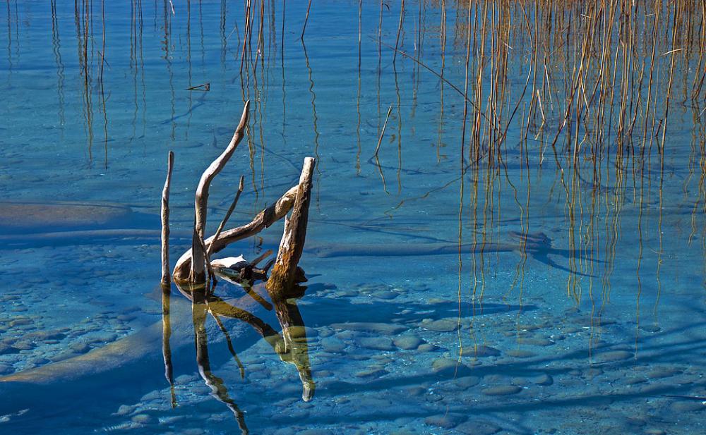 Water Clear Lake Mirroring Wood Surface Stones Water Clear Lake Mirroring Wood Surface Stones