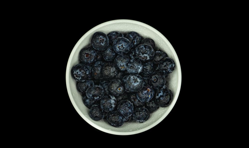 Blueberry Bowl Against Black Photo Blueberry Bowl Against Black Photo