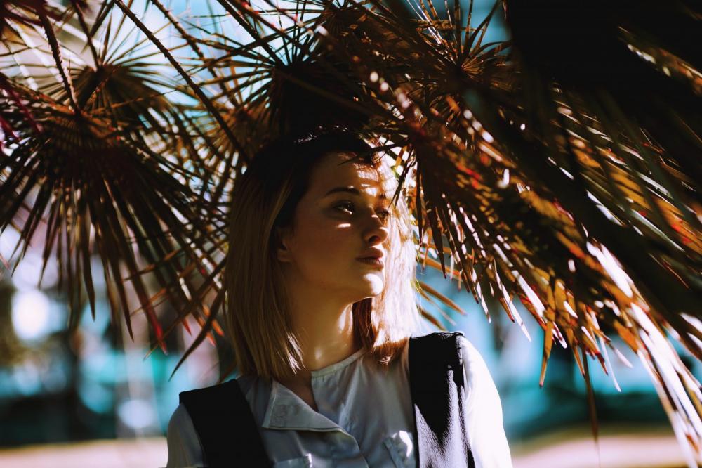 Palm Palm