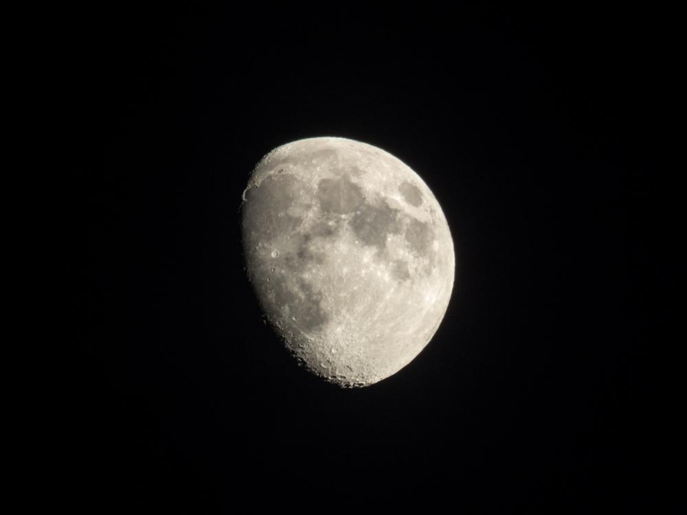 Moon Moon