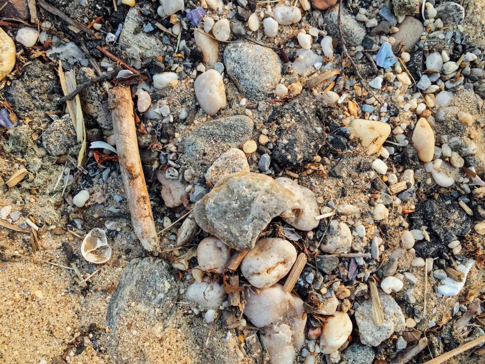 Shells and Rocks on Sand Shells and Rocks on Sand