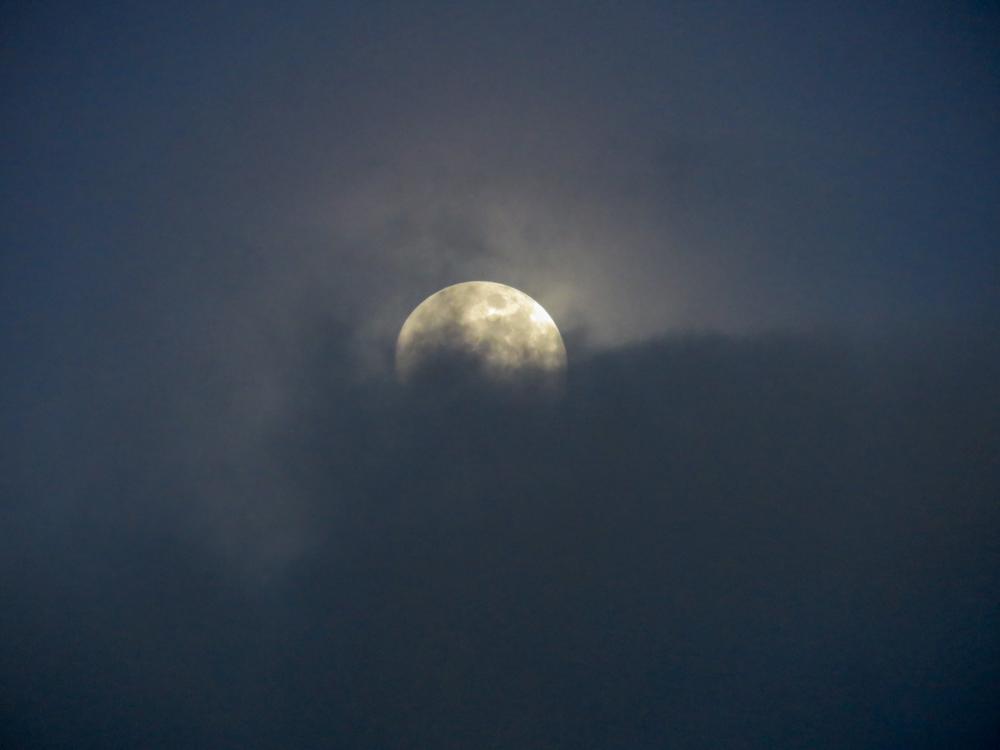 Moon Moon