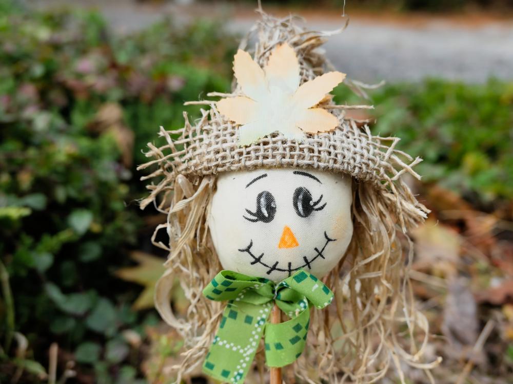 Scarecrow Scarecrow