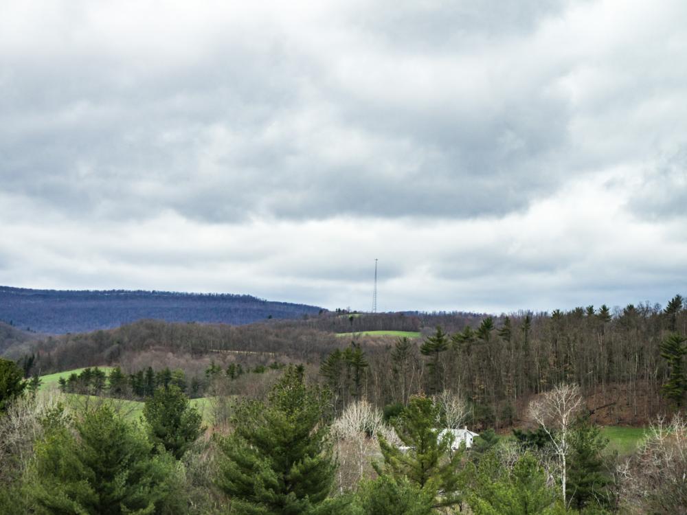 Trees and Hills Trees and Hills