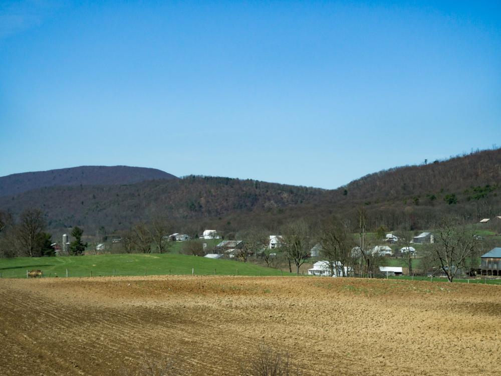 Field with Houses Over Blue Sky Field with Houses Over Blue Sky