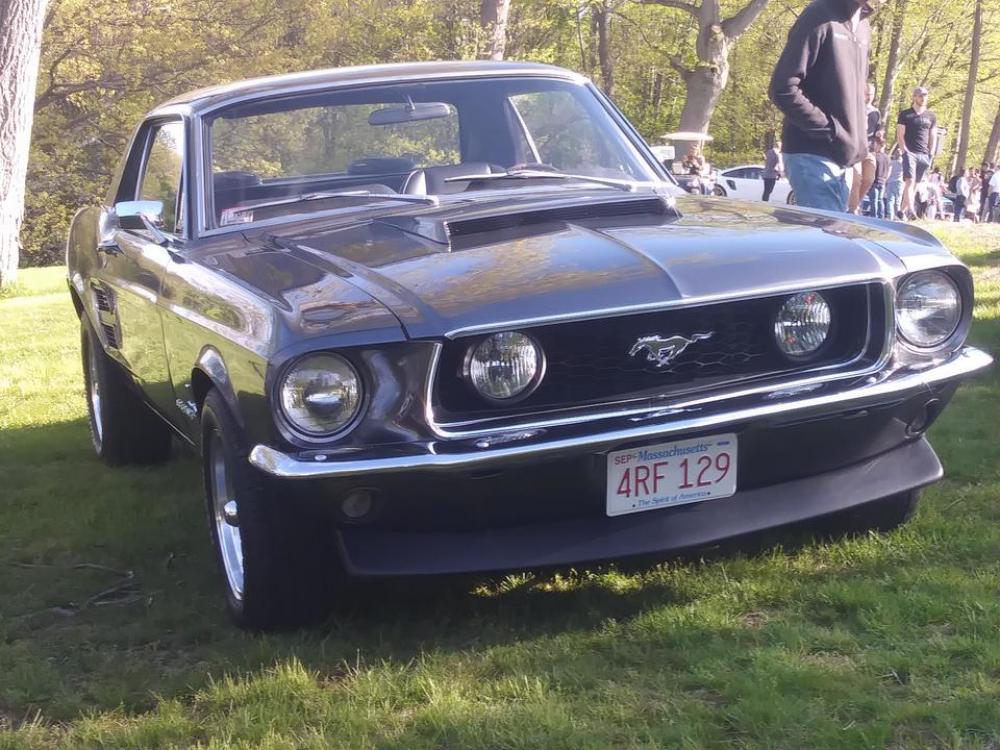 Ford Mustang car Muscle Pony Ford Mustang car Muscle Pony