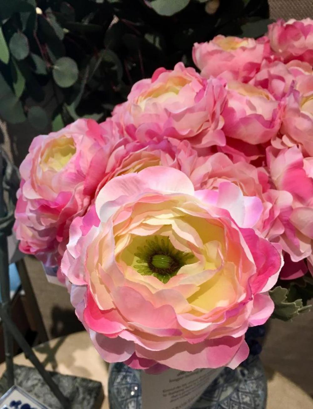rose roses flower flowers garden rose roses flower flowers garden