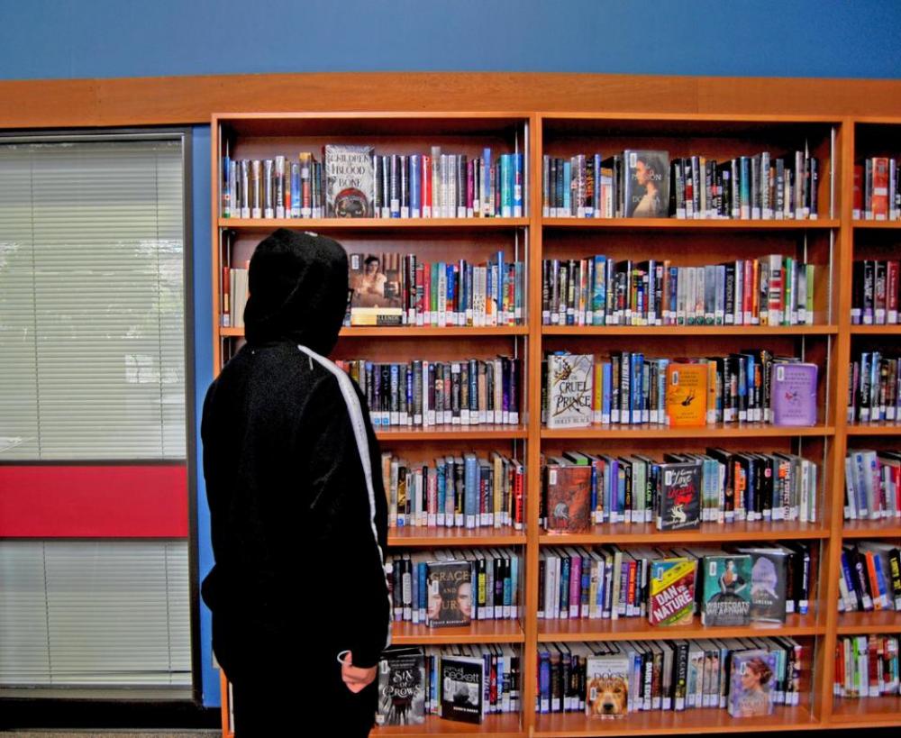 Library books literacy book shelves students Library books literacy book shelves students