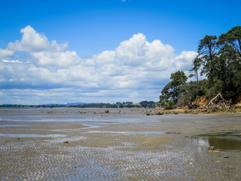 tidal New Zealand beach Manukau Harbour sand tidal New Zealand beach Manukau Harbour sand