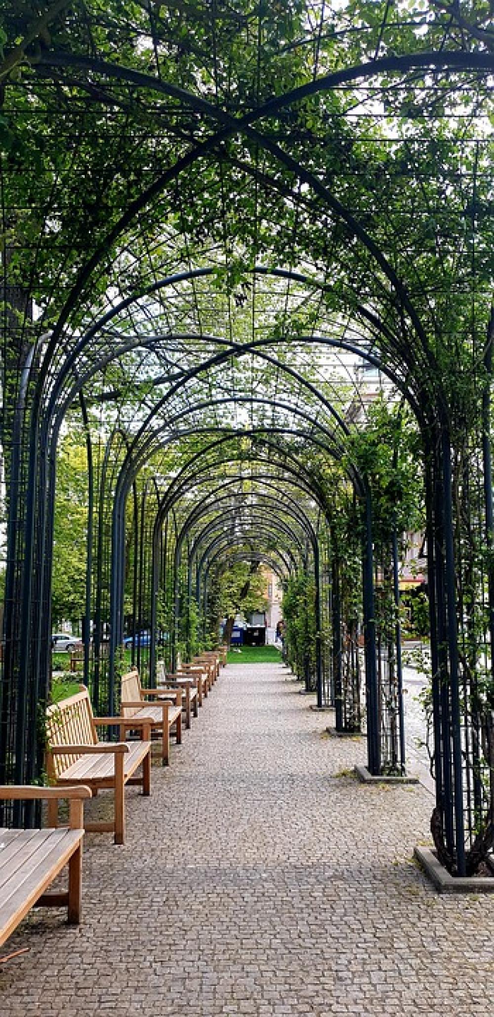 Avenue Trees Benches Park Czech Republic Pilsen Avenue Trees Benches Park Czech Republic Pilsen