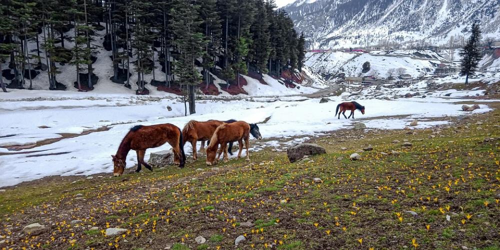 Close To Nature Kalam Swat Pakistan Close To Nature Kalam Swat Pakistan