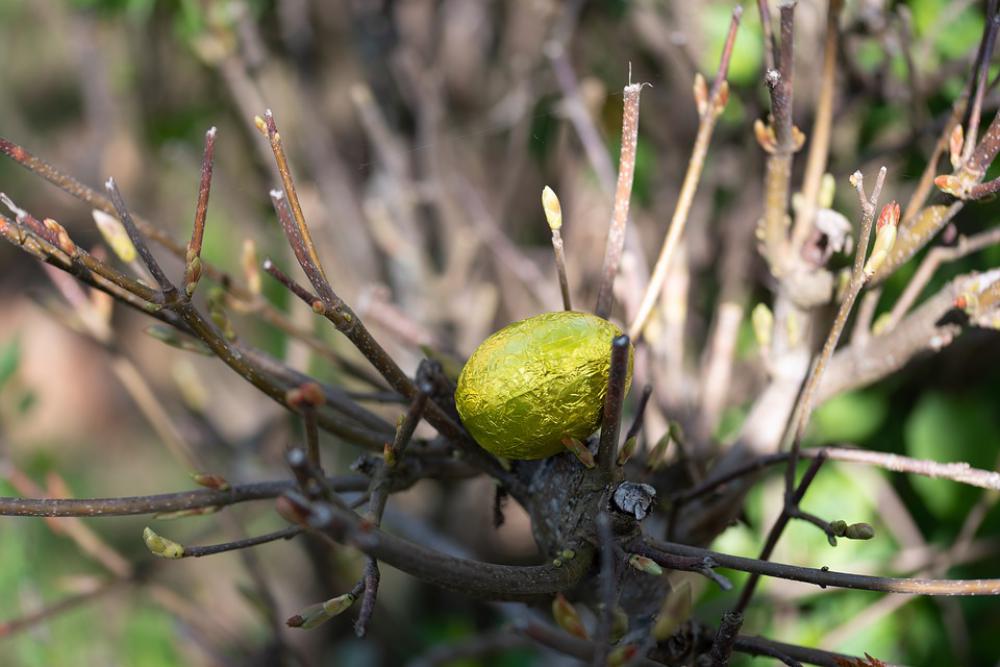 Easter Easter Egg Branches Egg Tradition Chocolate Easter Easter Egg Branches Egg Tradition Chocolate