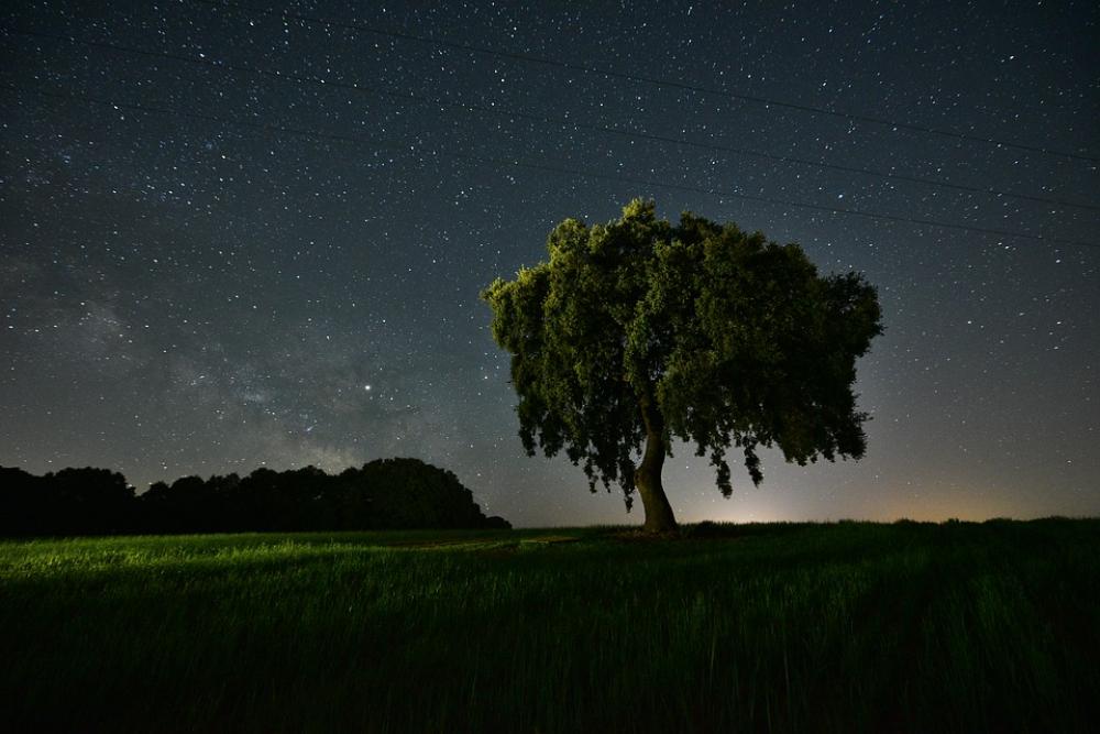 Field Night Star Agriculture Space Lights Scenic Field Night Star Agriculture Space Lights Scenic