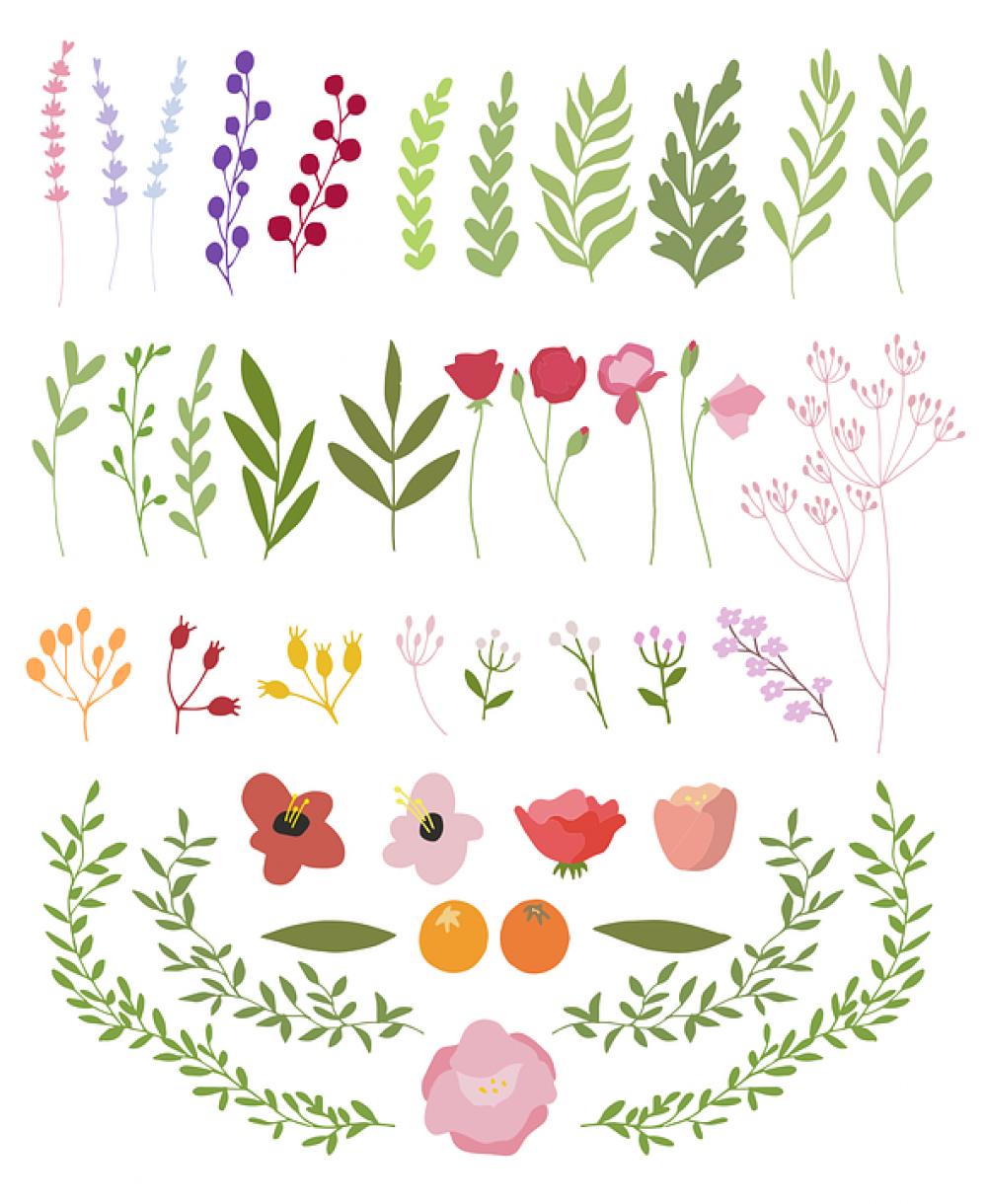 Flowers Petals Green Sign Symbol Icon Leaves Flowers Petals Green Sign Symbol Icon Leaves