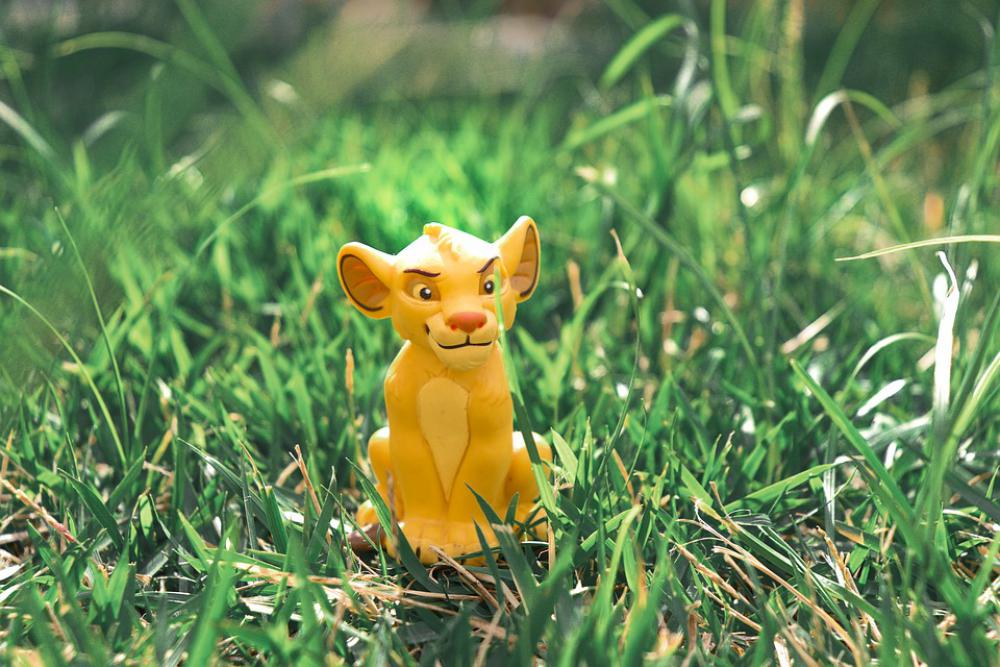 Green Simba Nature Animal The Lion King Green Simba Nature Animal The Lion King