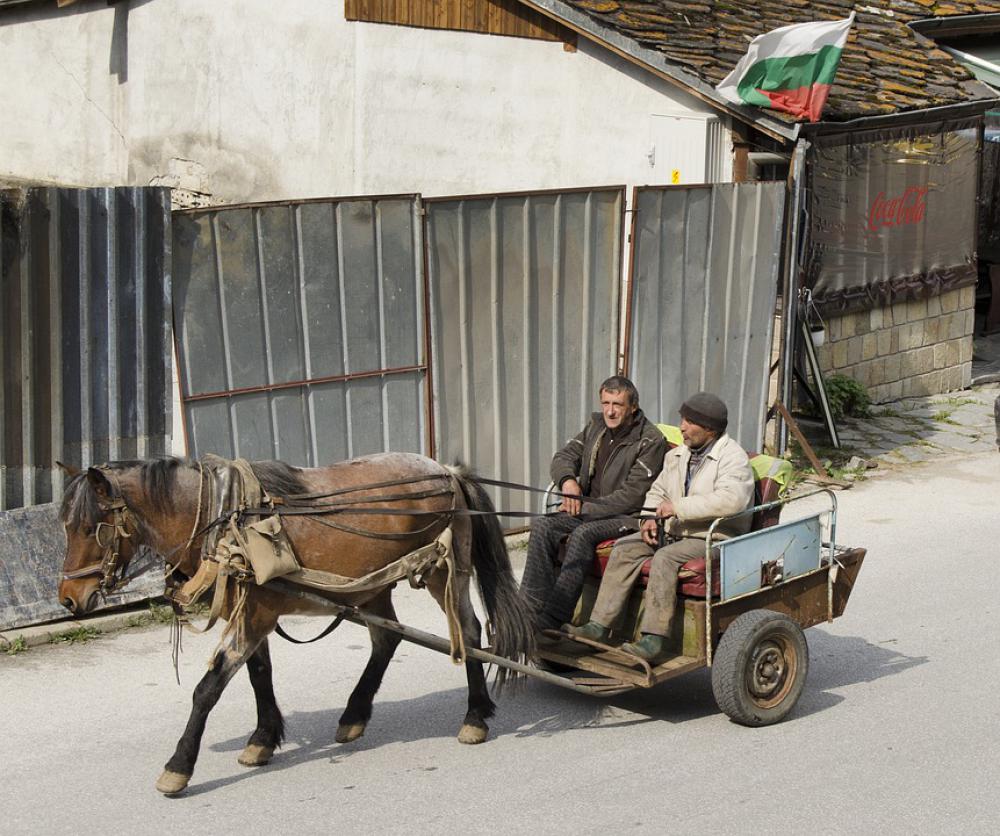 Horse Cart Rural Village Bulgaria Coca Cola Horse Cart Rural Village Bulgaria Coca Cola