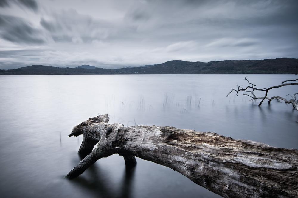Lake Tree Water Nature Mood Waters Relaxation Lake Tree Water Nature Mood Waters Relaxation