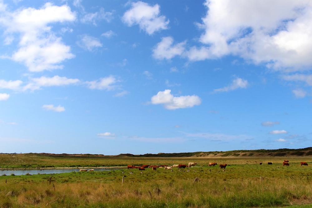 Landscape Langeoog Nature Sky Coast North Sea Landscape Langeoog Nature Sky Coast North Sea