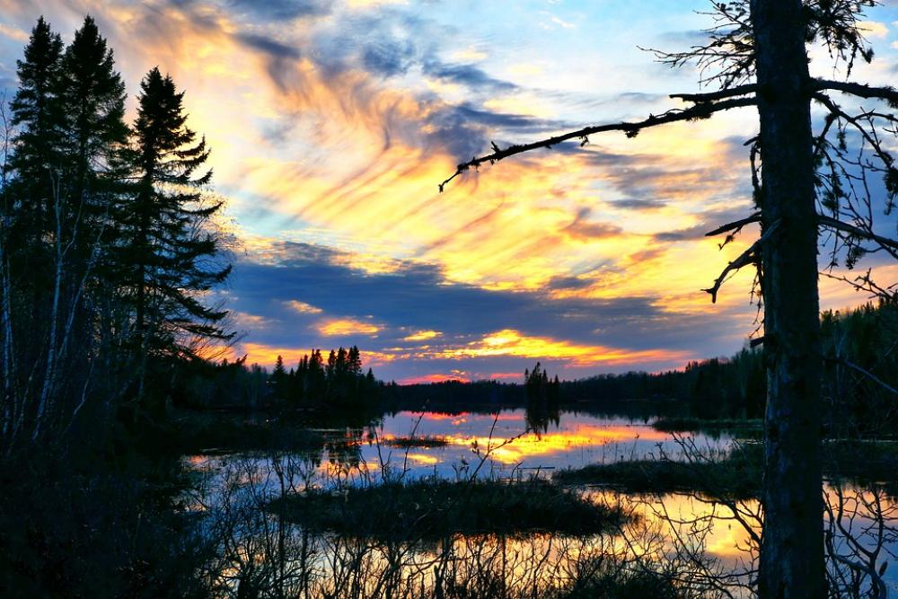 Landscape Nature Clouds Trees Twilight Sky Colors Landscape Nature Clouds Trees Twilight Sky Colors