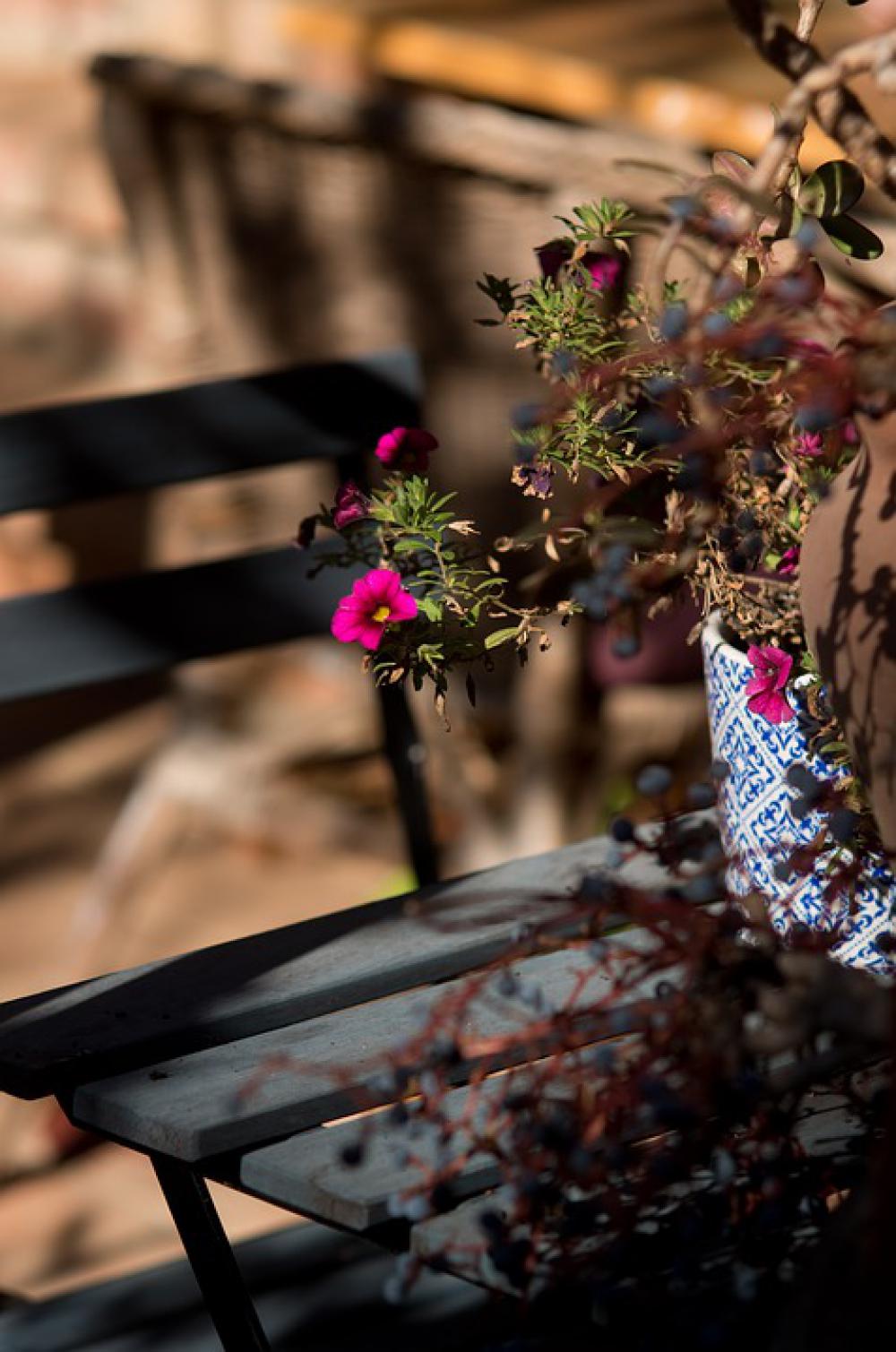 Light Mood Flower In The Morning Cyclamen Table Light Mood Flower In The Morning Cyclamen Table