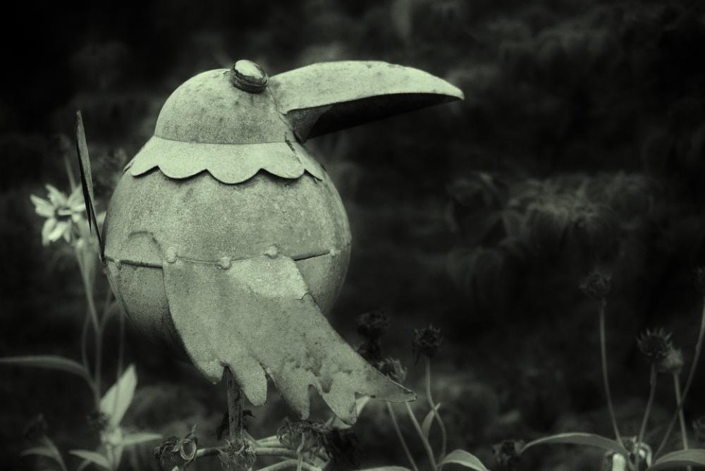 Metal Bird In The Gloom Metal Bird In The Gloom
