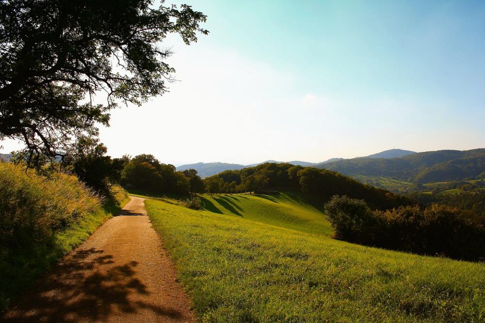 Nature Landscape Reported Hill Forest Away Sky Nature Landscape Reported Hill Forest Away Sky