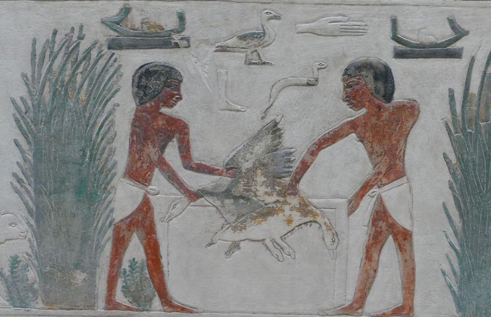 Relief Art Historically Egyptian Museum Antique Relief Art Historically Egyptian Museum Antique
