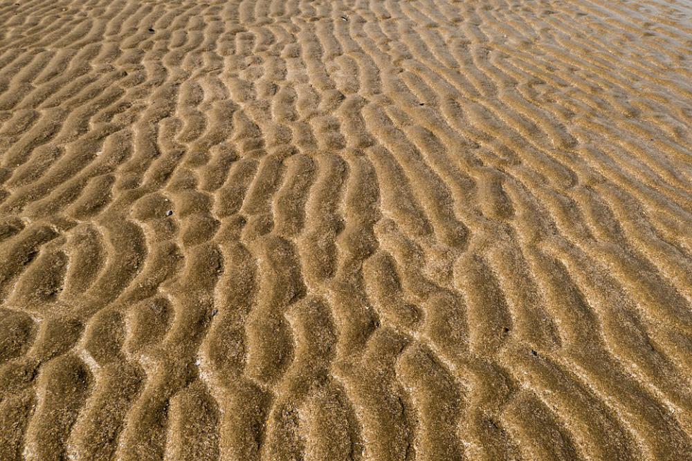 Ripples Beach Endless Nature Surface Sand Ripples Beach Endless Nature Surface Sand