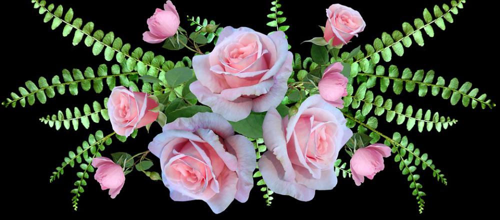 Roses Flowers Ferns Arrangement Garden Nature Roses Flowers Ferns Arrangement Garden Nature