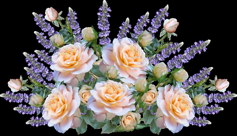 Roses Flowers Salvias Arrangement Garden Nature Roses Flowers Salvias Arrangement Garden Nature