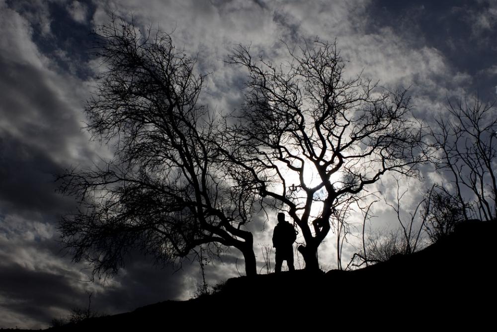 Silhouette Tree Sky Black In The Evening Human Silhouette Tree Sky Black In The Evening Human