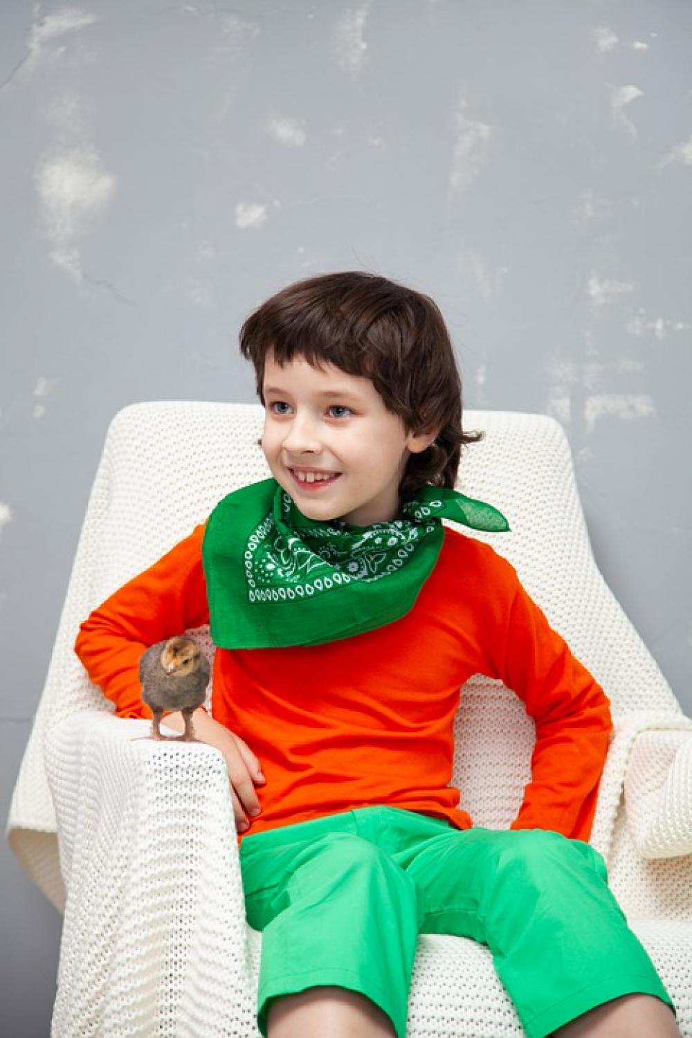 Smile Boy Armchair Bird Chicken Kids Cute Smile Boy Armchair Bird Chicken Kids Cute