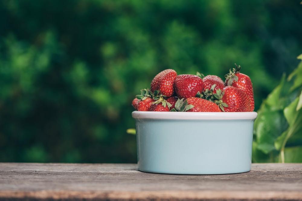 Strawberry Spring Fruit Dessert Garden Nature Strawberry Spring Fruit Dessert Garden Nature