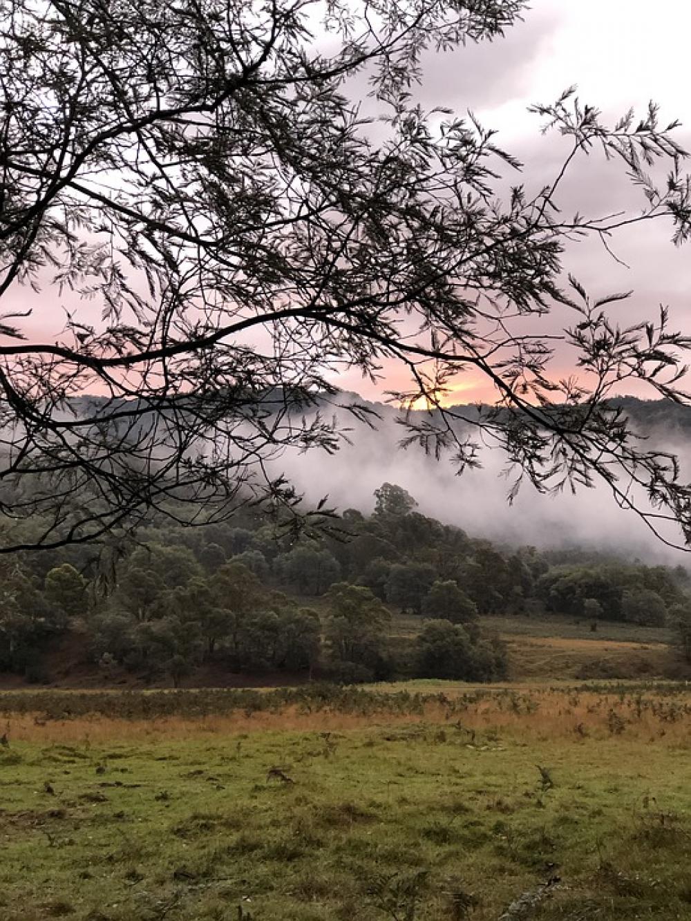 Sunset Bush Landscape Evening Dusk Tree Cloud Sunset Bush Landscape Evening Dusk Tree Cloud