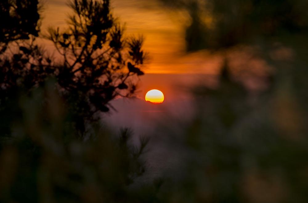 Sunset In The Forest Sun Nature Evening Landscape Sunset In The Forest Sun Nature Evening Landscape