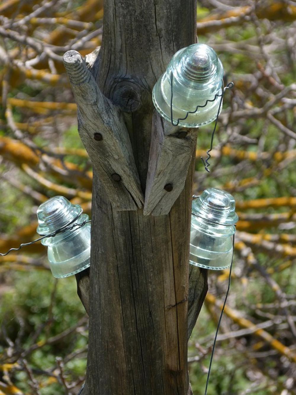 Telephone Line Cables Old Abandoned Insulators Telephone Line Cables Old Abandoned Insulators