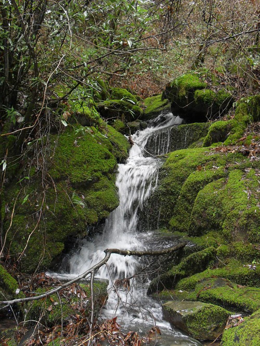 Waterfall Forest Nature Stream Water Creek Waterfall Forest Nature Stream Water Creek