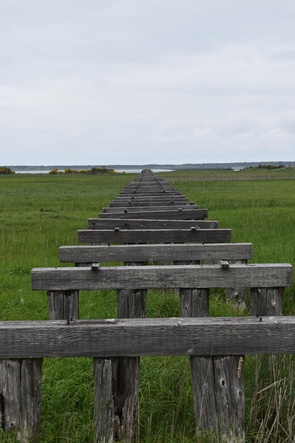 Wood Rows Grass Wallpaper Background Water Sky Wood Rows Grass Wallpaper Background Water Sky