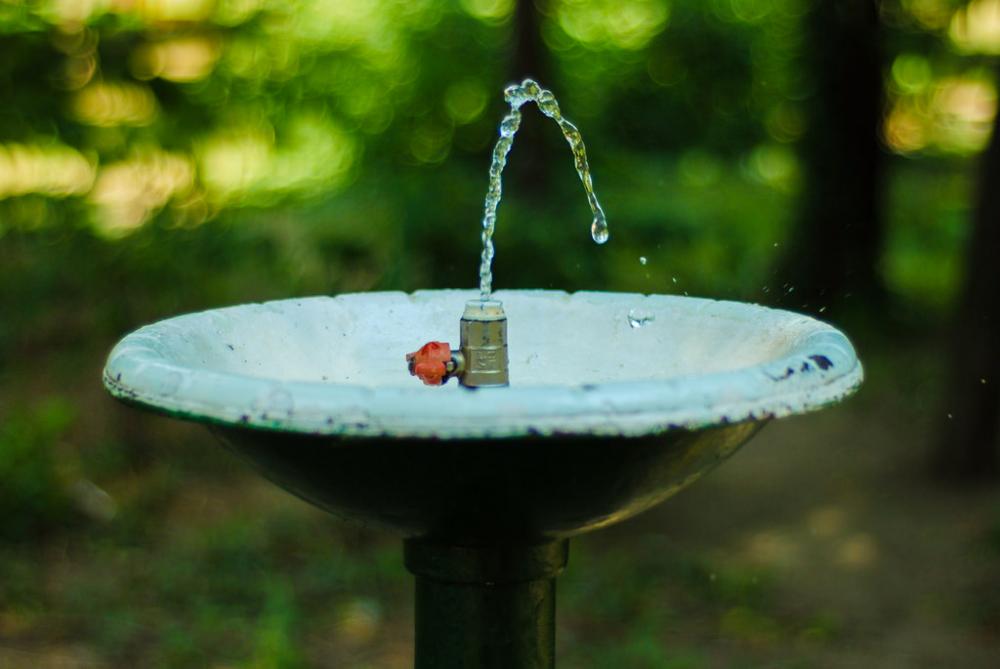 Fountain Fountain
