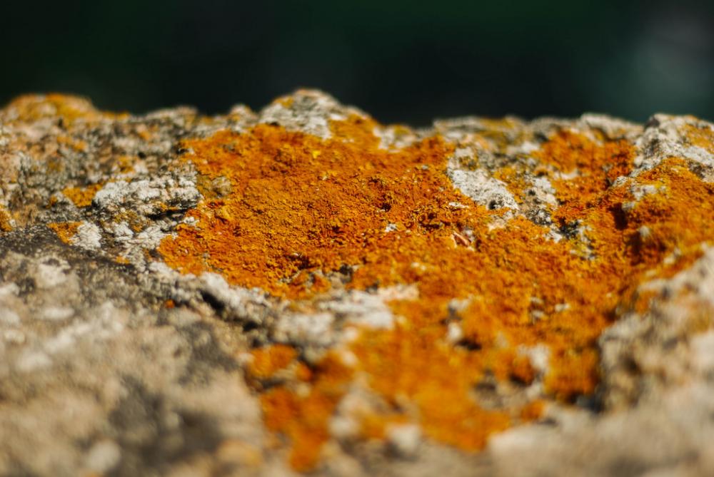 Orange rock Orange rock