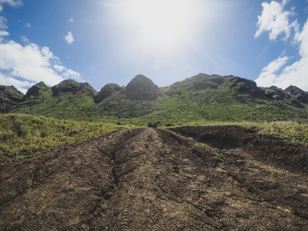 Lush Green Landscape Split By Dry Creekbed Under Bright Sun Photo Lush Green Landscape Split By Dry Creekbed Under Bright Sun Photo
