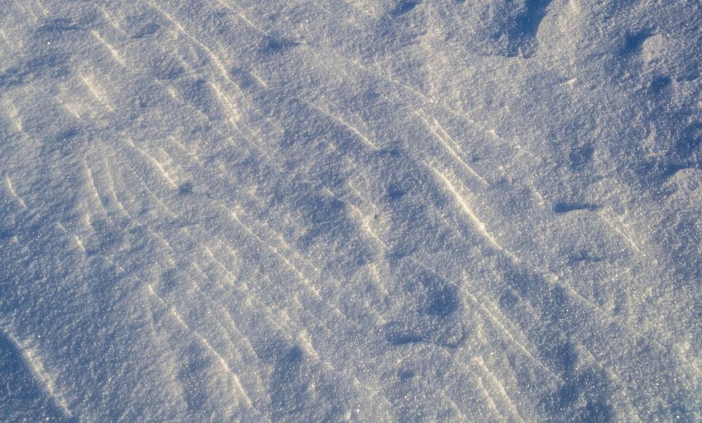 Snow Scrapes Photo Snow Scrapes Photo