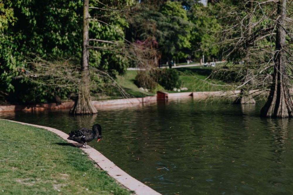 The Buen Retiro Park in Madrid, Spain The Buen Retiro Park in Madrid, Spain