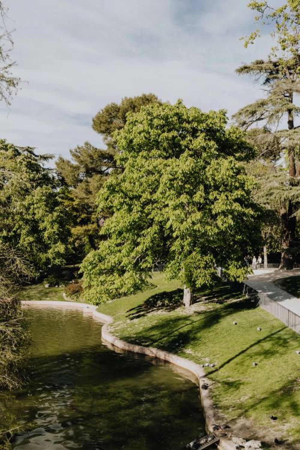 The Buen Retiro Park in Madrid, Spain The Buen Retiro Park in Madrid, Spain