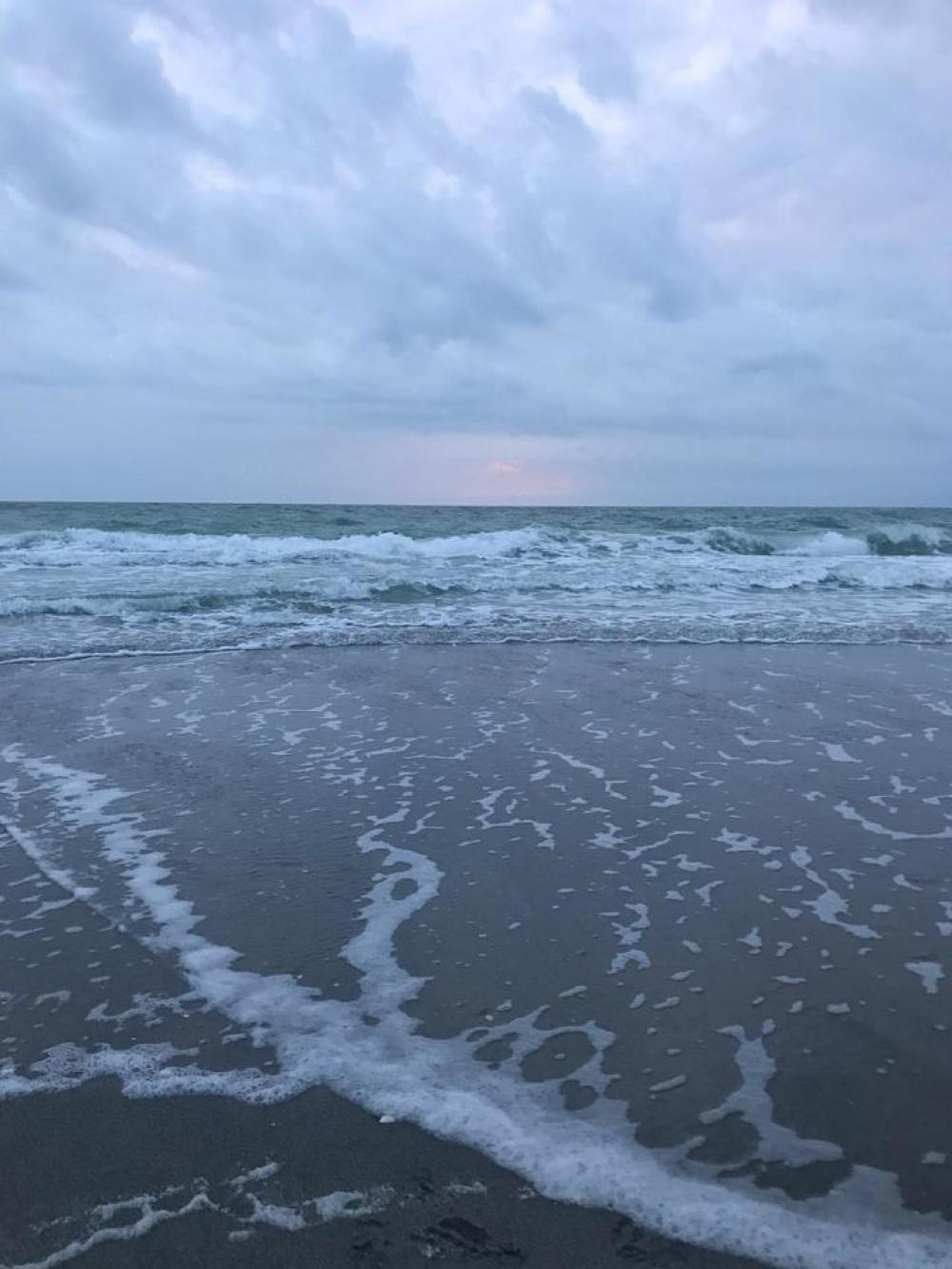 beach tropical seashore ocean beach tropical seashore ocean